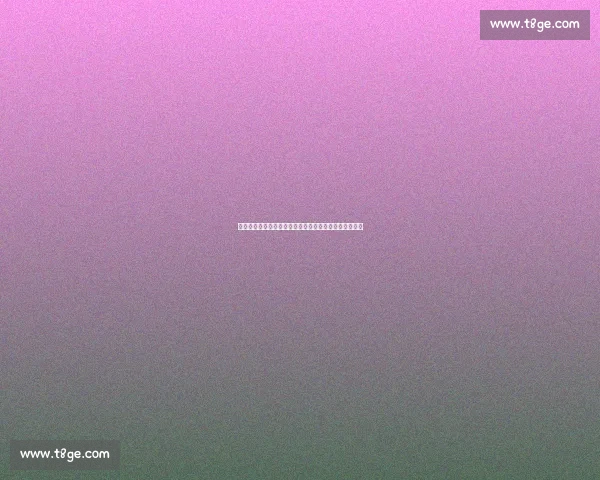 赛程枷锁下的网球困局：球员健康与资本博弈的生死时速