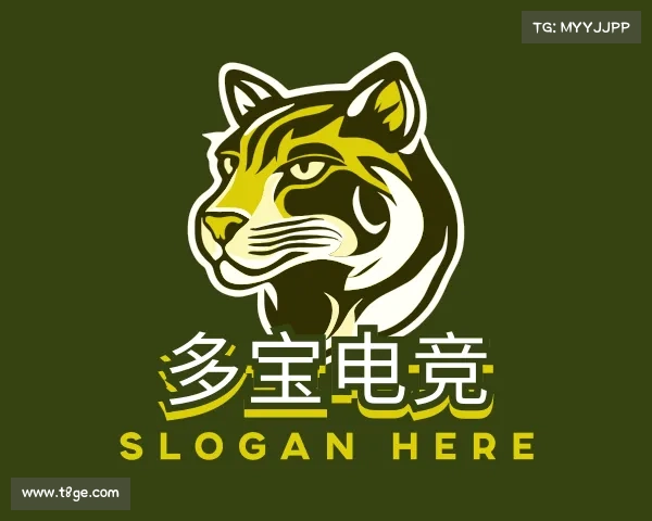 关于多宝电竞